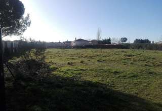 Rural/Agricultural land for sale in Alamedilla, Salamanca. 